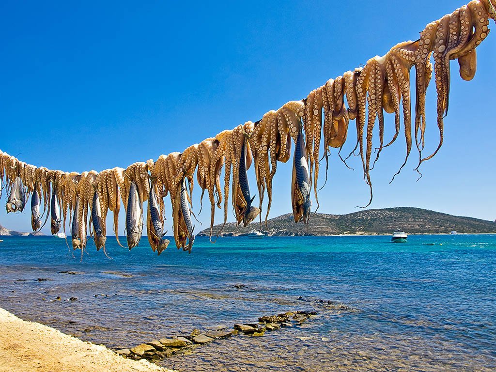 Octopus and Fish drying in the sun on Antiparos Island in the cyclades- car free islands of greece blog