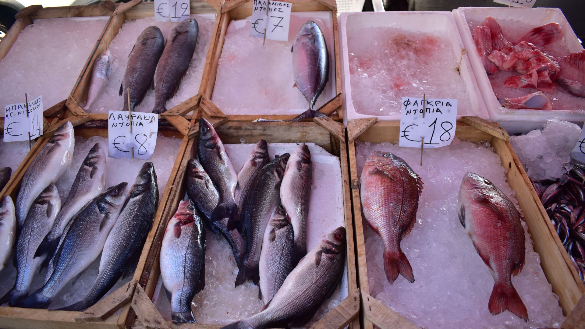 Fish Market Heraklion Crete