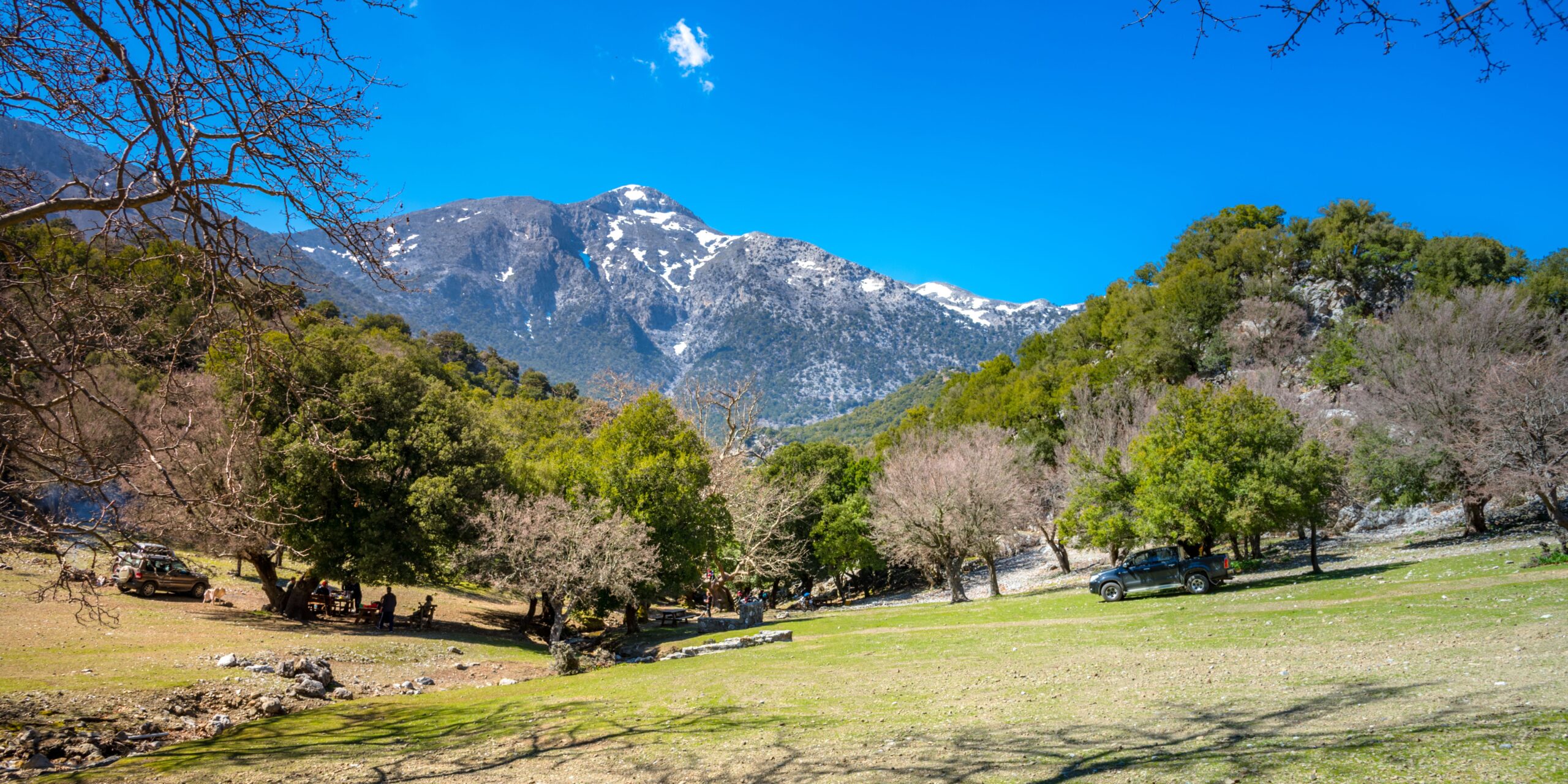 A mountain landscape with snow-capped peaks, a green meadow with trees, and vehicles parked under the shade.
