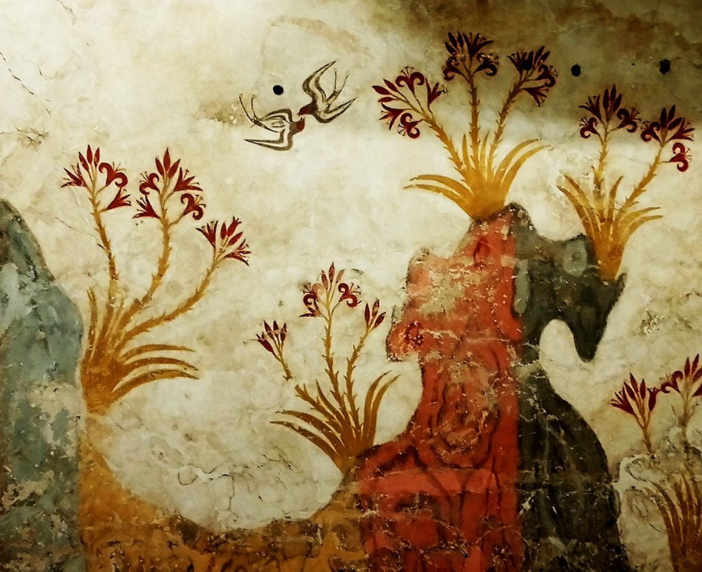 Santorini's Akrotiri Spring Fresco details