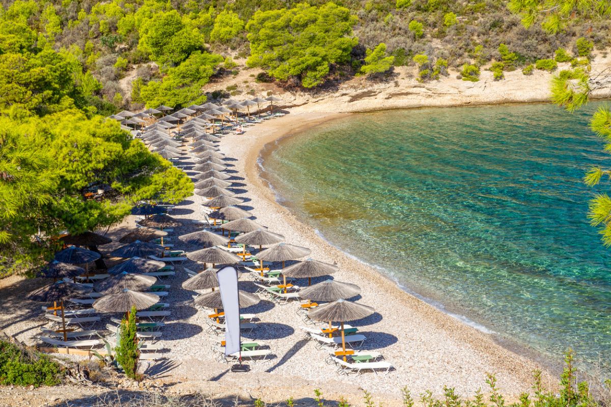 Amazing emerald water of small bay in Greek islands (Spetses) and idyllic beach with tents and pine trees and small pine trees around