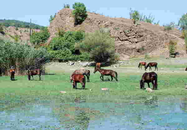 kerkini-horse-riding-3