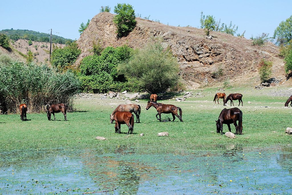 kerkini-horse-riding-3