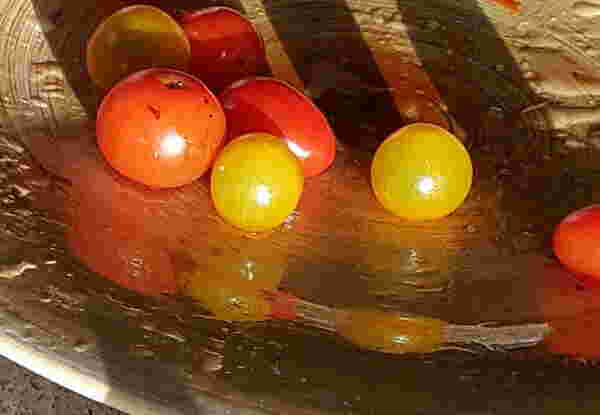 santorini-cherry-tomatoes