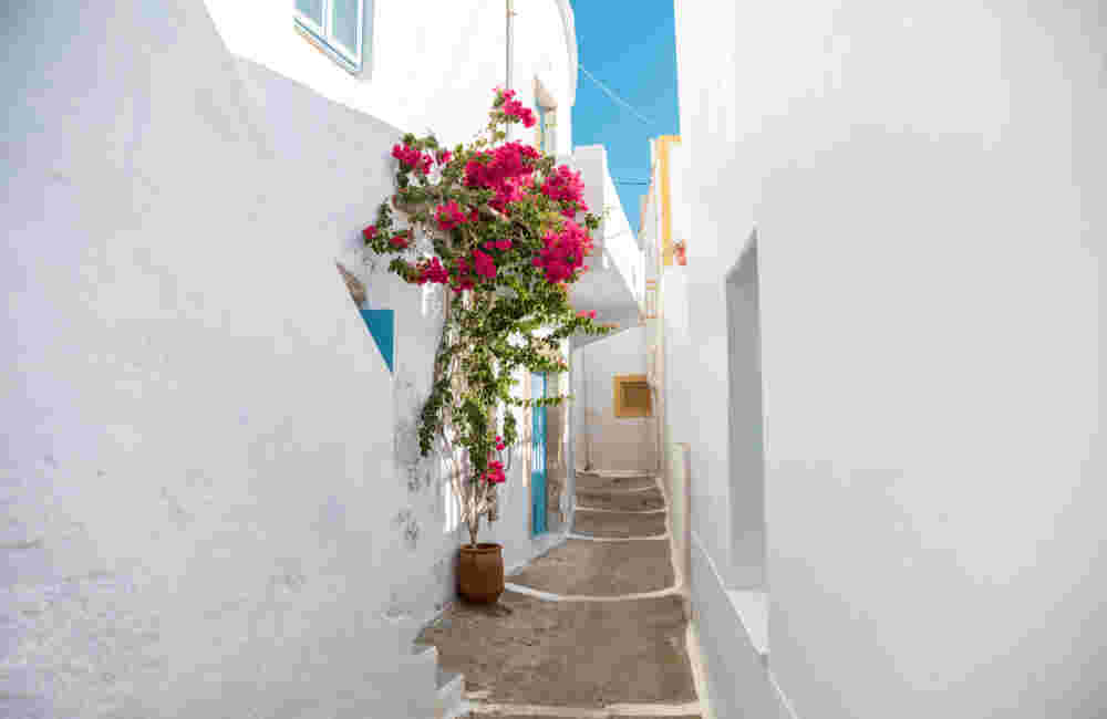 Narrow Streets Of Plaka, Milos