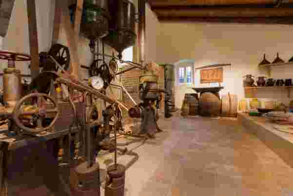 olive museum_what to do in Greece with kids