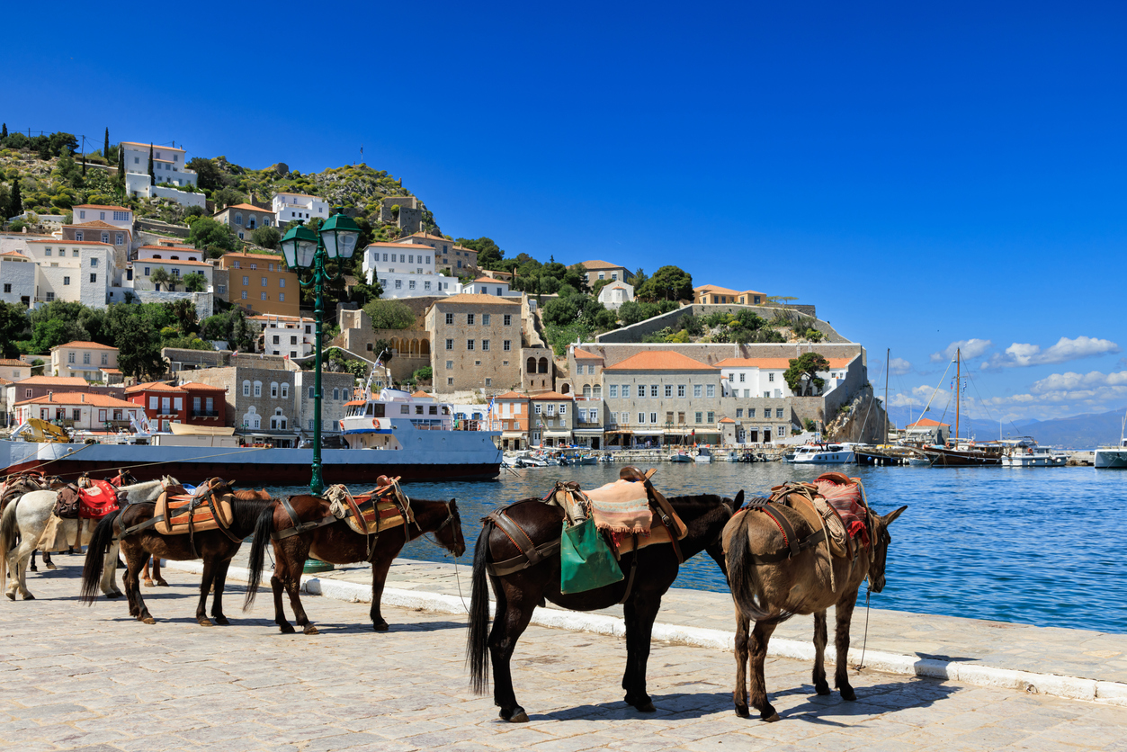 Donkeys standing on the port promenade of Hydra Island, Greece, with traditional houses, boats, and blue sea under a clear summer sky.