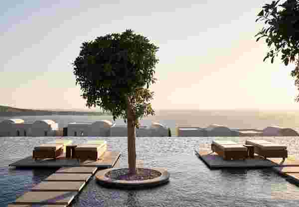 canaves elements_0656 (1)