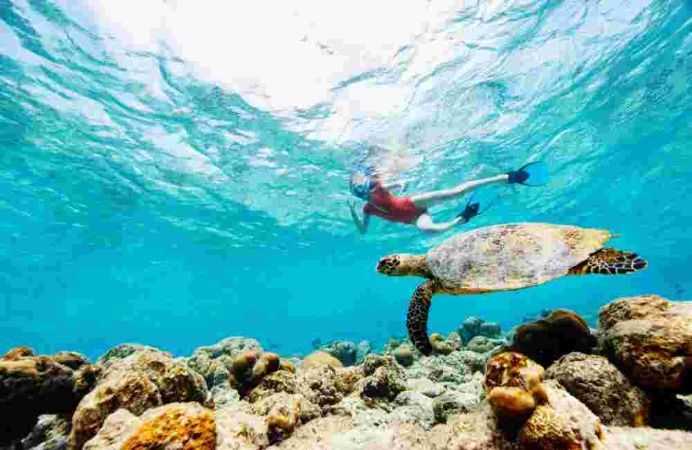 snorkeling in Greece 1
