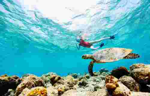 A snorkeler swimming above a sea turtle near a coral reef in clear blue waters. snorkeling in Greece 1
