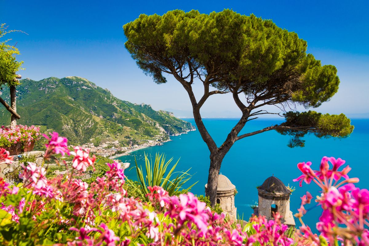 A view of the Amalfi Coast in Italy, featuring a tree, colorful flowers, and the blue sea with mountains in the background.