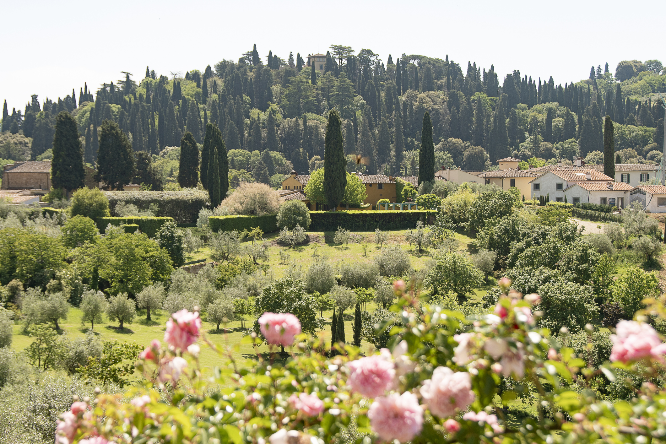 Tuscan landscapes in springtime outside Florence