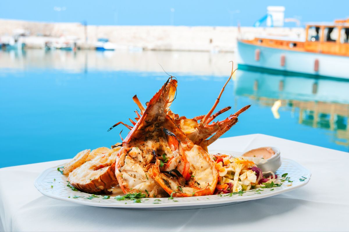 A plate of grilled lobster with fresh salad and sauce, served at a seaside restaurant in Greece with a harbor view in the background_Italy and Greece 14 Days of Adventure