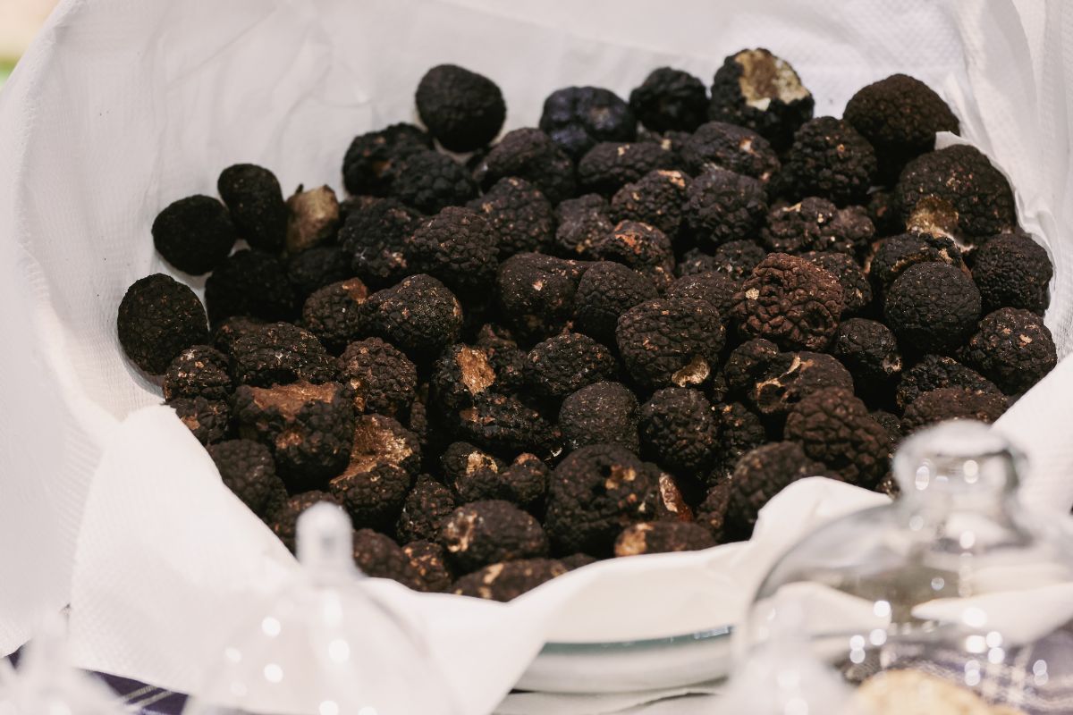 Fresh black truffles on display at a local truffle festival in Italy.