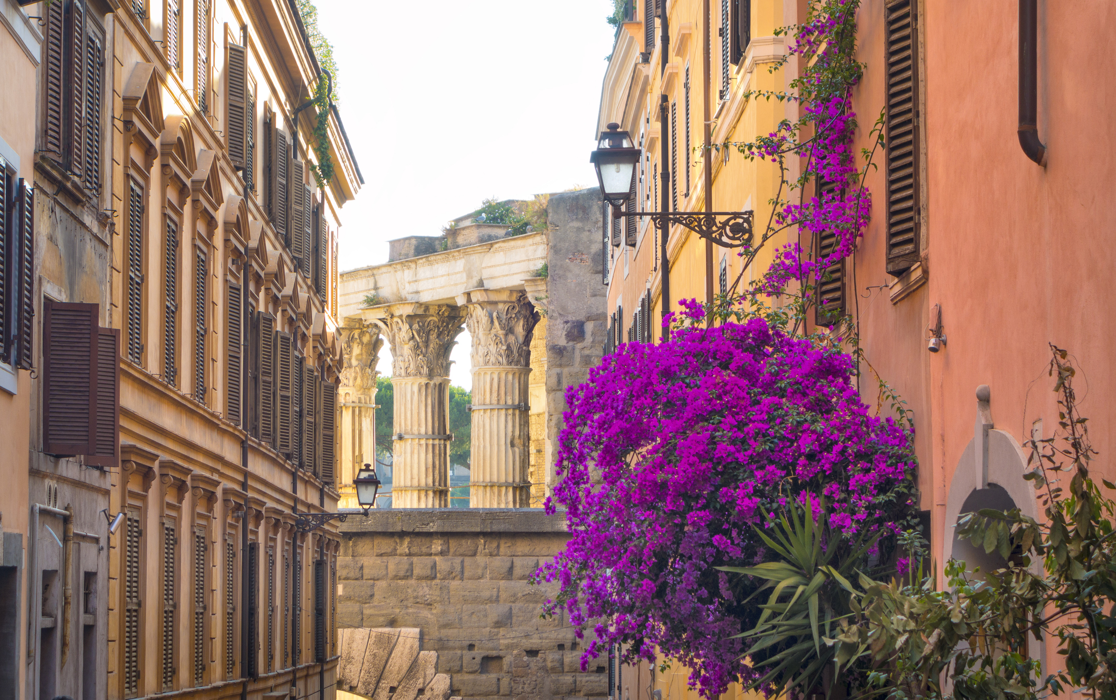 Alley with Bougainvillea and Roman columns, Rome Italy