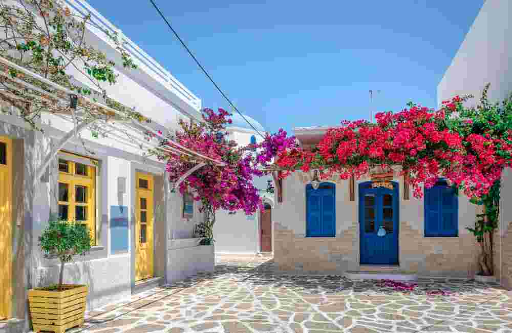 Traditional whitewashed houses, narrow cobblestone alley, bougainvillea trees in Antiparos, Cyclades, Greece.