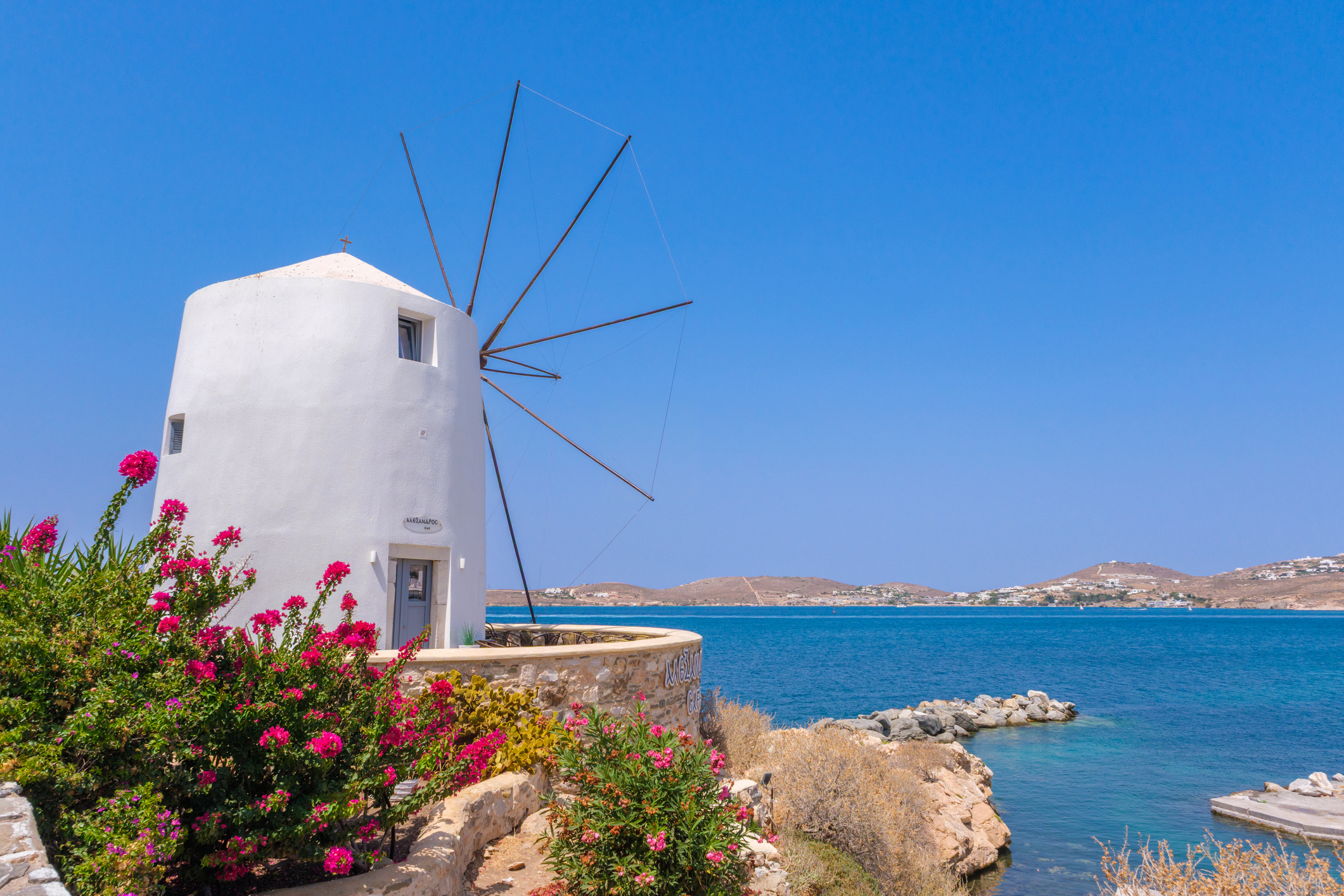 A traditional windmill stands next to blooming bougainvillea with the Aegean Sea in the background in Parikia Paros