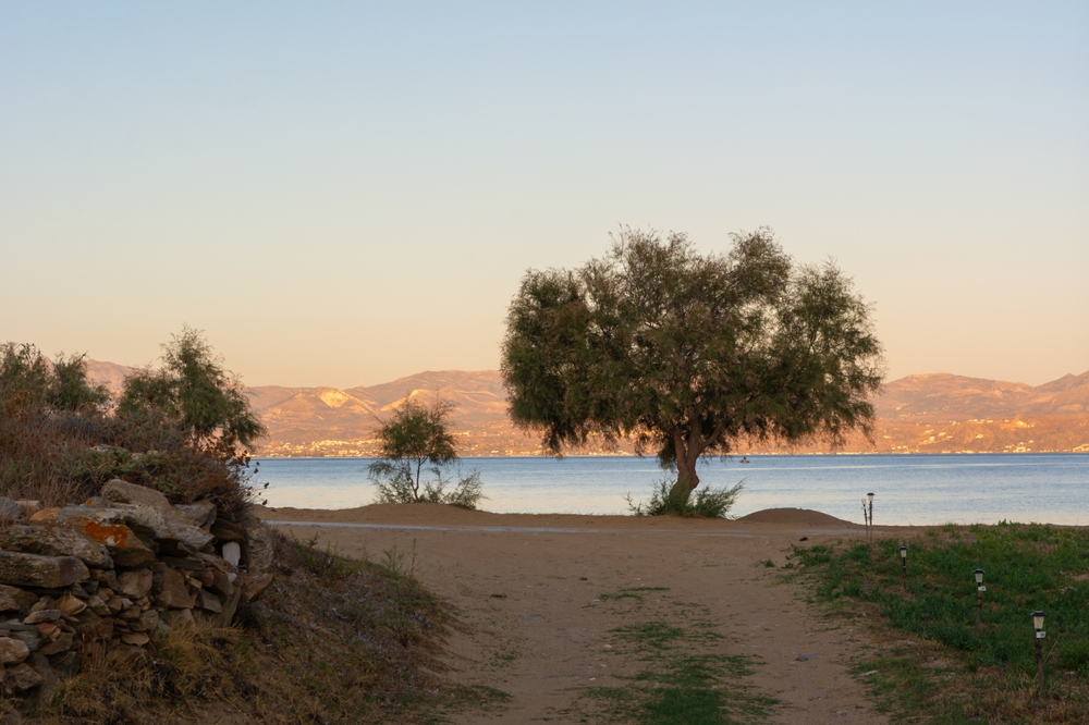 Logaras Beach Paros