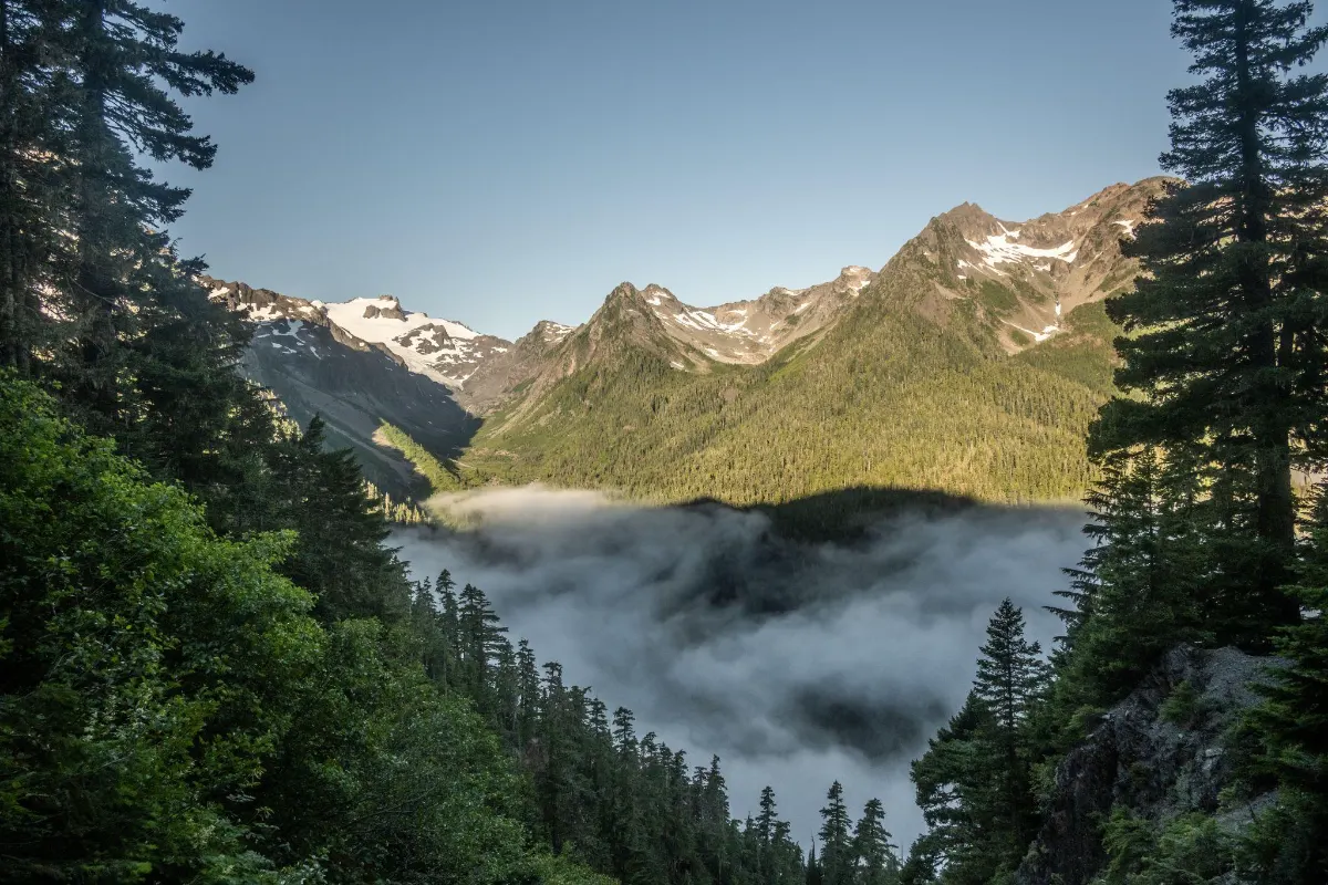 Misty mountain valley with snow-capped peaks and dense evergreen forest, clouds settling low between the ridges.